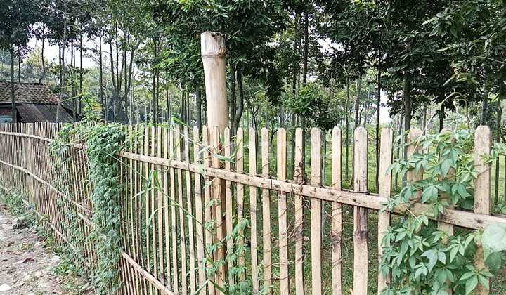 Tanah Luas 15000m2 Cocok Untuk Investor di Kutawaringin