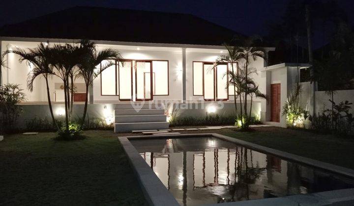 Brand New Villa For Rent With Huge Yard St 0258 1