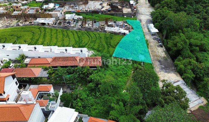 Huge Land For Long Lease In Pererenan Canggu Pu 0242 2