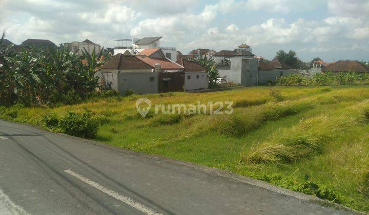 Disewakan Tanah Komersial Dengan View Sawah Di Padonan Lj0022 2