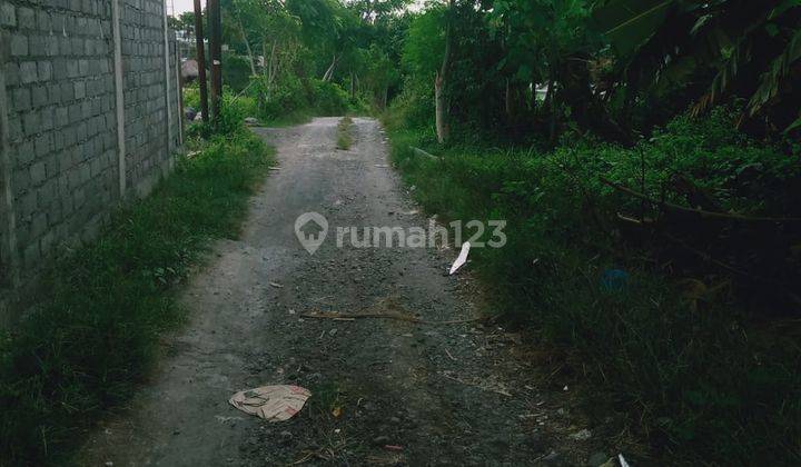 Dijual Tanah Kecil di Daerah Pererenan Canggu Zona Kuning Kc 0188 1