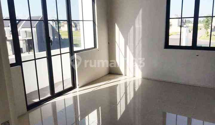 Grand Sunrise Violet Standard House Grass (Db) 2