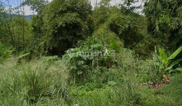 Tanah Cocok Buat Vila Dan Ruko Usaha Bogor 2