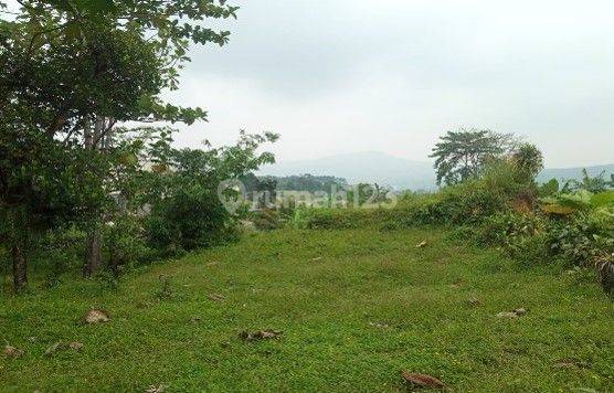 Tanah di Daerah Bojong Koneng Sentul City, Bogor 1