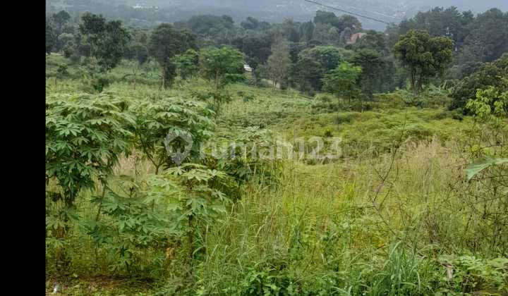 Tanah di Daerah Hambalang , Bogor SHM 20 ha 2