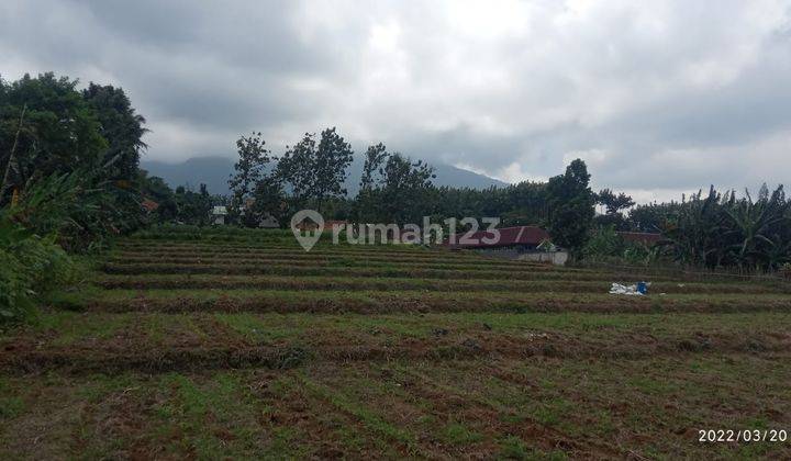 Tanah di Kawasan Wisata Dan Villa Daerah Cigombong , Bogor 2