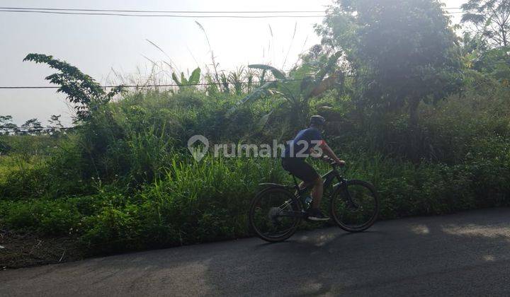 Tanah di Area Cijayanti Sentul City Dan Nempel Jalan Raya, Bogor 1