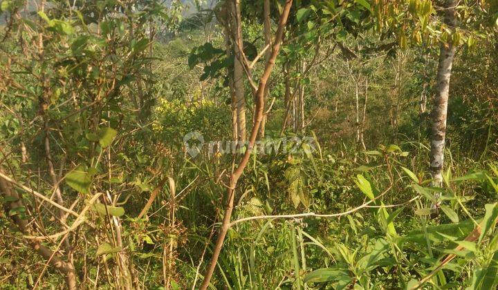 Tanah di Area Cikidang Sukabumi
, Sukabumi SHM 1 ha 2