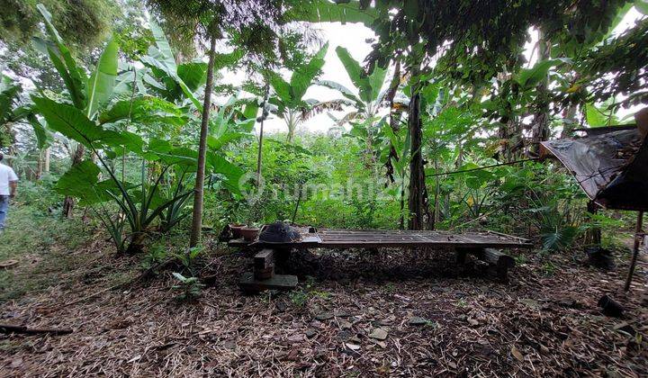 Tanah di Perumahan Rafles, Bogor 2.571 are 2