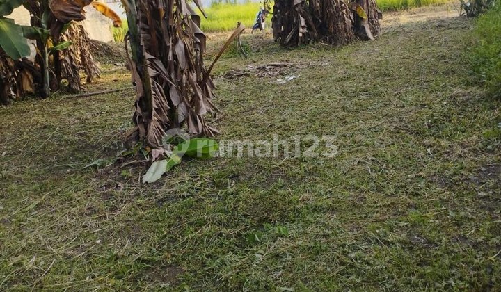 Bebas Banjir, Tanah, SHM, Dekat Fasilitas Kesehatan, Dekat Akses Tol