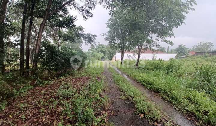 Dekat Akses Tol, Tanah, Dekat Tempat Ibadah, Bebas Banjir Dekat Akses Tol, Tanah, Dekat Tempat Ibadah, Bebas Banjir
