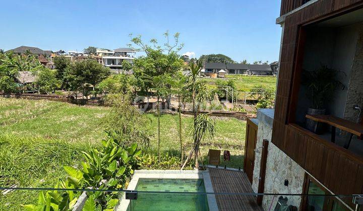 Villa with Rice Field View at Mengening Beach, Cemagi, Canggu 1