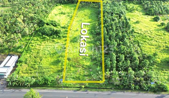 Tanah Denpasar Gilimanuk Jembrana