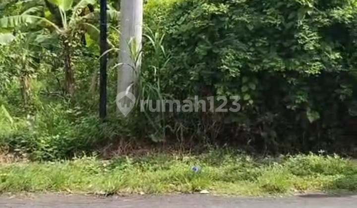 Tanah Pantai Saba Gianyar Bali