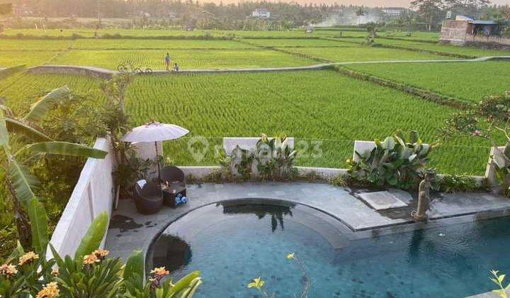 villa with view of Ubud's rice fields 1