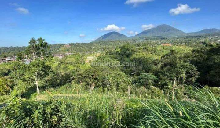 Bedugul Baturiti Tabanan garden land 1