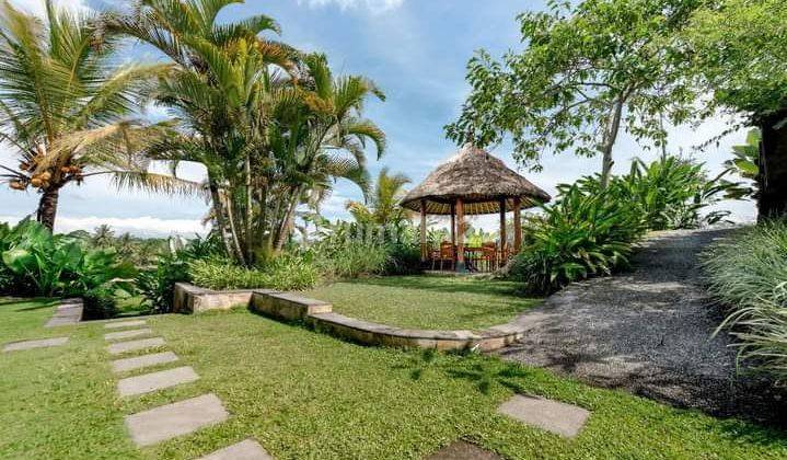 Villa View Sawah Tegalalang Ubud 2