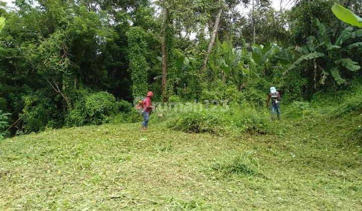 Tanah los sungai sibang dekat ubud 1