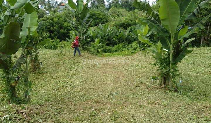 Tanah los sungai sibang dekat ubud 2