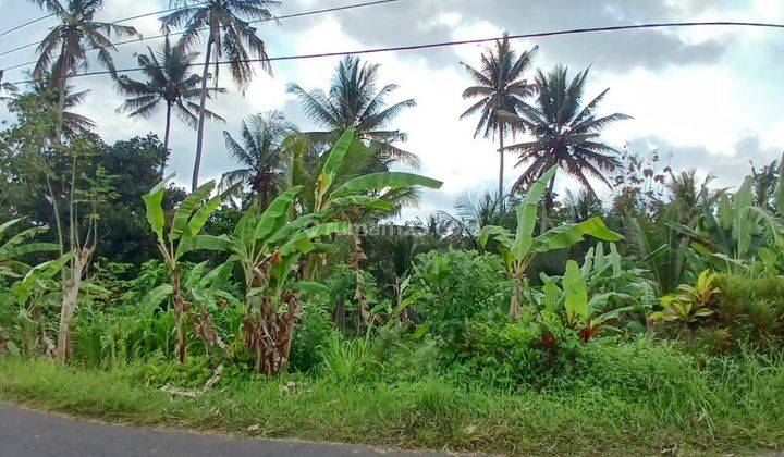 Tanah pejeng ubud 2