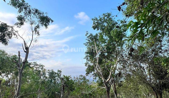 Tanah view laut jimbaran kuta  2