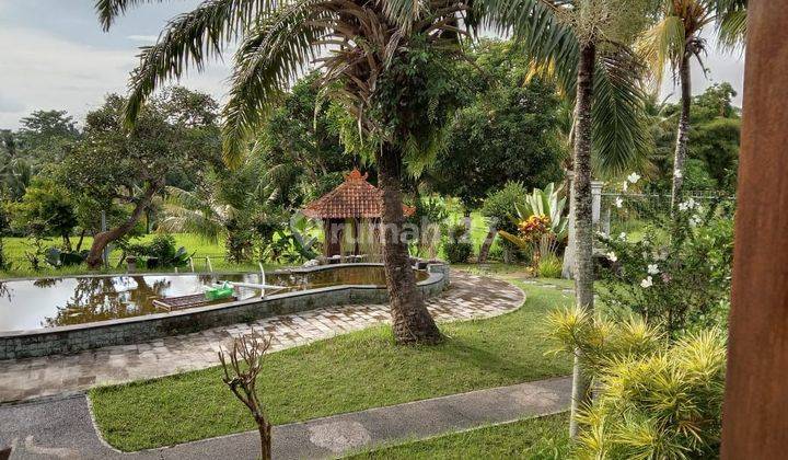 Villa with view of Ubud's Batu rice fields 2