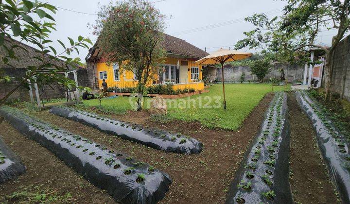 Semi villa house Bedugul Tabanan 1