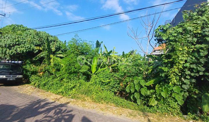 Canggu agricultural land 2