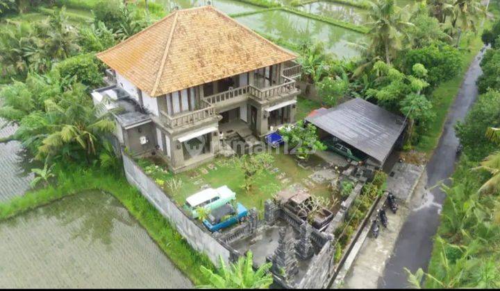 Villa with view of Pering rice fields, Gianyar, Ubud 2