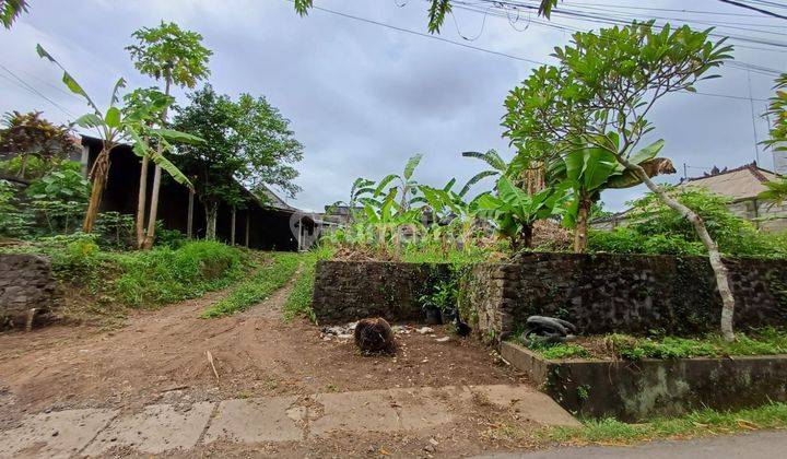 Tanah kemenuh ubud 2