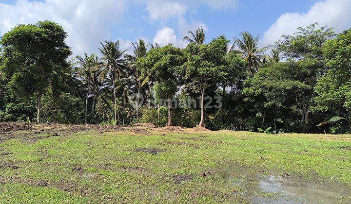 Land view of Ubud river rice fields 1