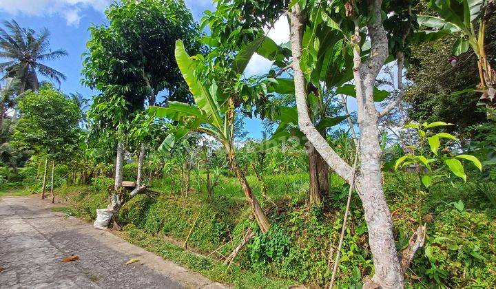 Land in the Pejeng villa area near Ubud 2