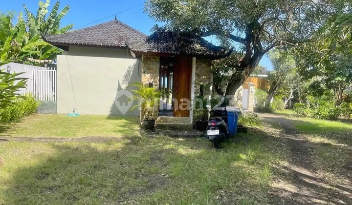 Villa View Rice Field Kelating Tabanan