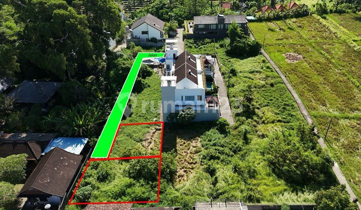 Golden Land Ubud Gianyar Golden Land Ubud Gianyar