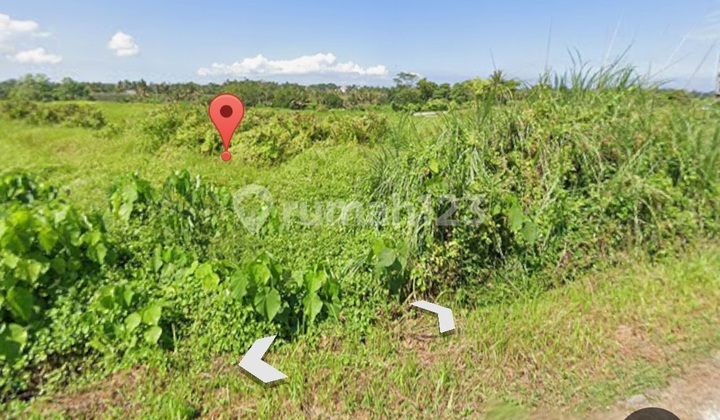 Kedungu Beach Plot Land Tabanan Kedungu Beach Plot Land Tabanan