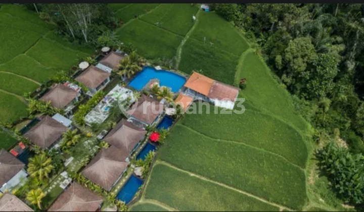 Villa Komersil Tegalalang Ubud Bali Villa Komersil Tegalalang Ubud Bali