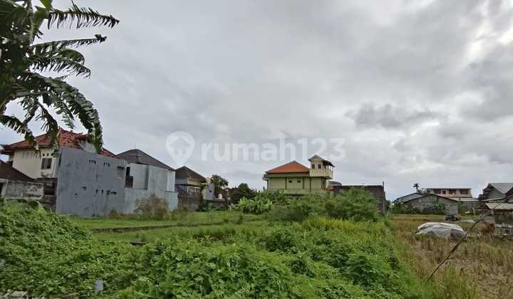Mount Salak Land Kerobokan Badung Mount Salak Land Kerobokan Badung