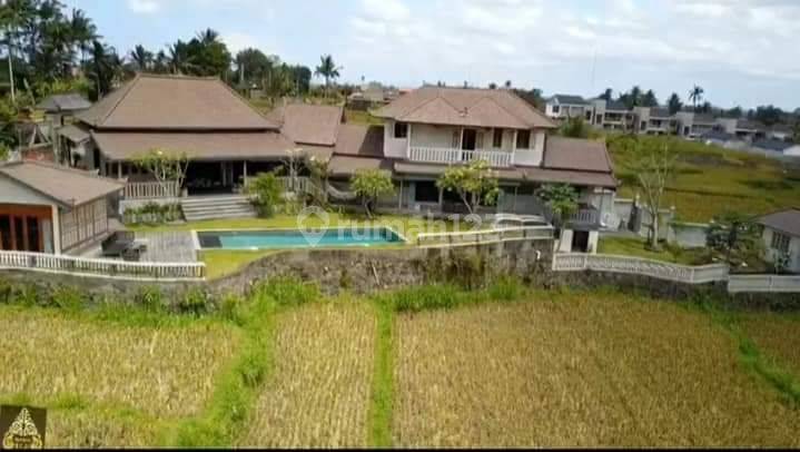 Villla view sawah pejeng dekat ubud 1