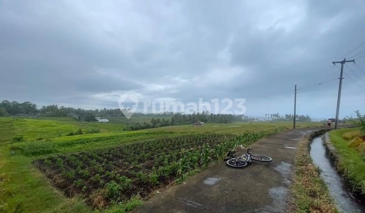 Tanah Pantai Antab Selemadeg Tabanan