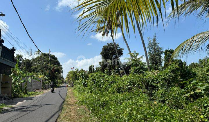 Tanah Bongan Dekat Yeh Gangga Tabanan 2