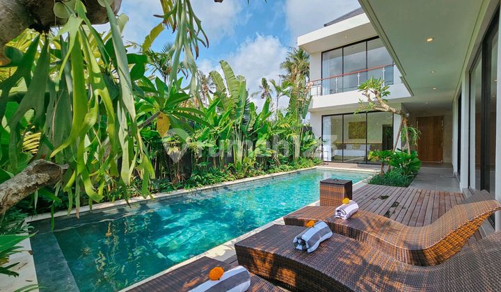 Villa View Sawah Mas Ubud 2