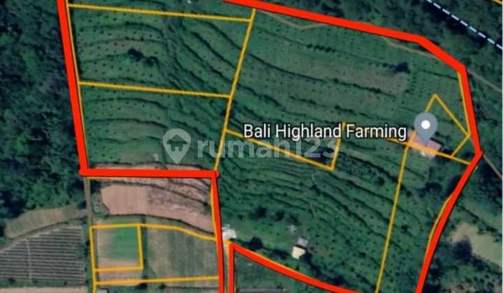 Tanah Kebun Baturiti Bedugul Tabanan