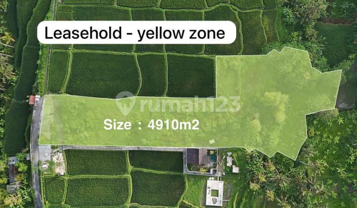 Tanah View Sawah Tegalalang Ubud Tanah View Sawah Tegalalang Ubud