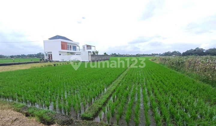 Tanah View Laut ******** Kelating Tabanan