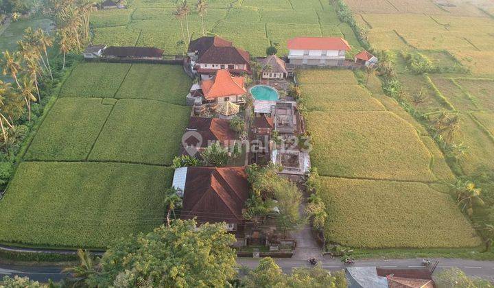 Tengkulak Kemenuh Hotel Near Ubud 1