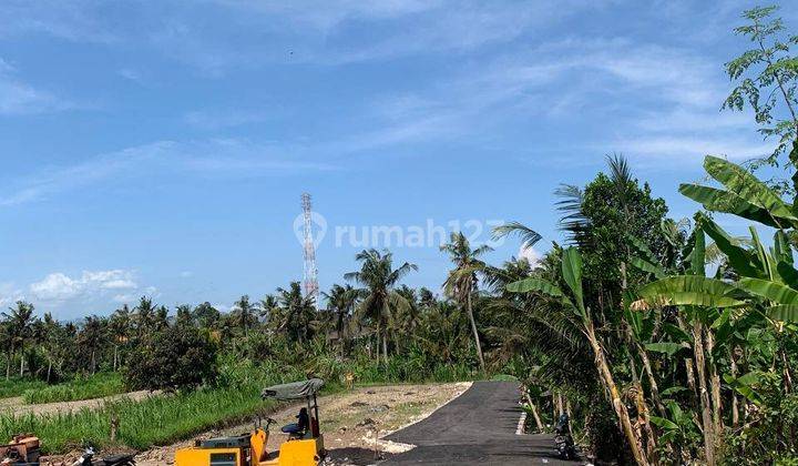 Tanah Kavling View Sawah Dan Dekat Pantai Harga Murah Free Pajak 1