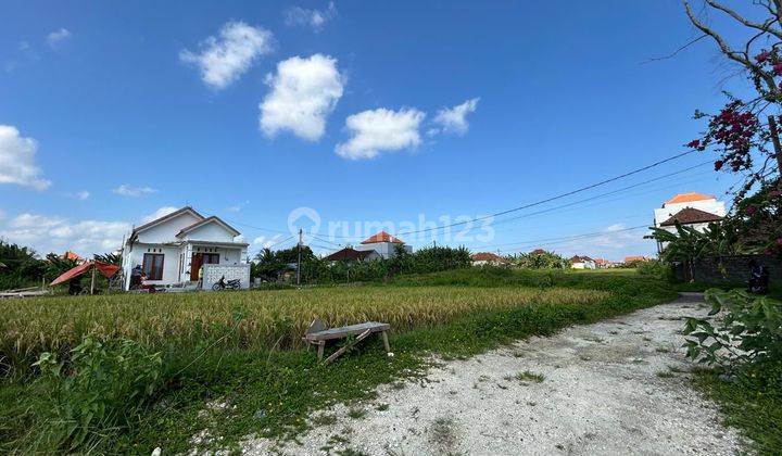 Tanah Kavling Murah View Sawah Di Dauhpeken Dekat Tabanan Kota 2