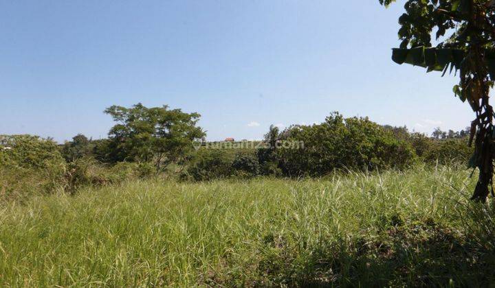 Selling fast!!  The land located in Kemenuh, Gianyar is a very strategic and rare location. 1