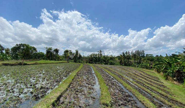 Land For Sale !!  Tanah Kavling Ekslusive Harga Ekonomis View Sawah di Pantai Tanah Lot, Kediri, Tabanan  1