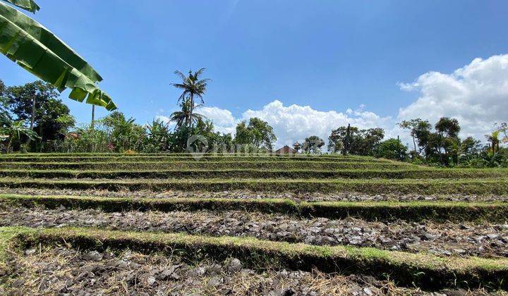 Land For Sale !!  Tanah Kavling Ekslusive Harga Ekonomis View Sawah di Pantai Tanah Lot, Kediri, Tabanan  2